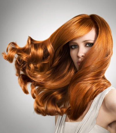 joe seminara salon, Weymouth, MA joe seminara salon, Weymouth, MA